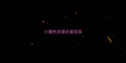 小猫先洗澡还是疫苗