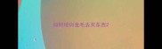 如何培训金毛去买东西