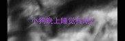 小狗晚上睡觉抖动