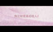 狗注射疫苗后咬人