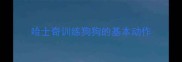 哈士奇训练狗狗的基本动作