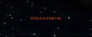 拉布拉多犬公母哪个贵