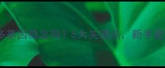 拉布拉多基因稳定吗5大关键点新手避坑指南