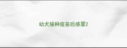 幼犬接种疫苗后感冒