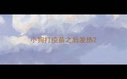 小狗打疫苗之后发热