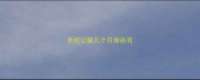 美短公猫几个月做绝育