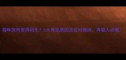 猫咪突然变得陌生5大常见原因及应对措施养猫人必看