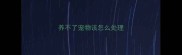 养不了宠物该怎么处理
