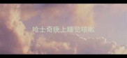哈士奇晚上睡觉咳嗽