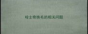 哈士奇换毛的相关问题