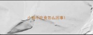 小狗不吃食怎么回事