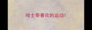 哈士奇喜欢的运动
