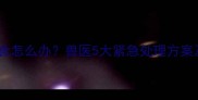 怀孕母拉布拉多绝食怎么办兽医5大紧急处理方案及孕期护理全攻略