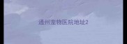 通州宠物医院地址