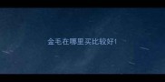 金毛在哪里买比较好