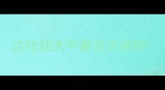 边牧幼犬不喜欢去厕所