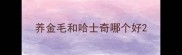 养金毛和哈士奇哪个好