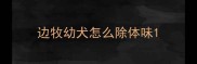 边牧幼犬怎么除体味
