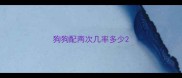 狗狗配两次几率多少