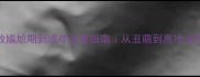 边牧尴尬期到成年逆袭指南从丑萌到高冷全攻略