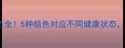 猫咪便便颜色全5种颜色对应不同健康状态养猫人必看