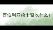 西伯利亚哈士奇吃什么