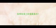 拉布拉多三针疫苗多大