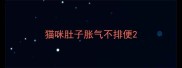 猫咪肚子胀气不排便