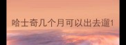 哈士奇几个月可以出去遛