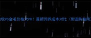 边牧VS金毛价格大PK最新饲养成本对比附选购指南
