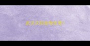 武汉汉阳宠物交易