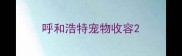 呼和浩特宠物收容