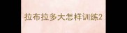 拉布拉多大怎样训练