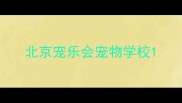 北京宠乐会宠物学校