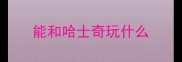 能和哈士奇玩什么