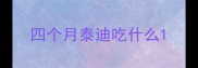 四个月泰迪吃什么