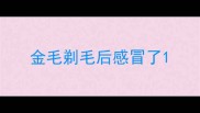 金毛剃毛后感冒了