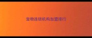 宠物连锁机构加盟排行