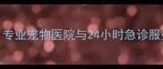 上海正伊宠物有限公司专业宠物医院与24小时急诊服务守护您毛孩子的健康