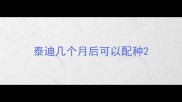 泰迪几个月后可以配种
