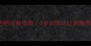 8个月泰迪乱拉粑粑自救指南3步训练法让狗狗养成定点排便习惯