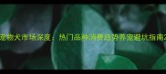 宠物犬市场深度热门品种消费趋势养宠避坑指南