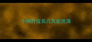 小狗打疫苗几天能洗澡