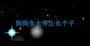 狗狗多大停止长个子