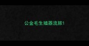 公金毛生殖器流脓