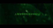 上海宠物学校培训学校