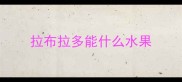 拉布拉多能什么水果