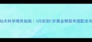 边牧幼犬科学喂养指南3月龄到1岁黄金期营养搭配全攻略