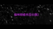 猫咪眼睛有层白膜