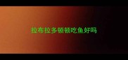 拉布拉多顿顿吃鱼好吗